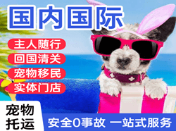 广州机场邮寄国际宠物托运 【国